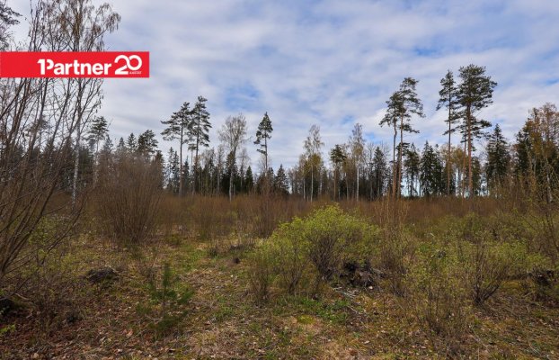 картина 11 of 16