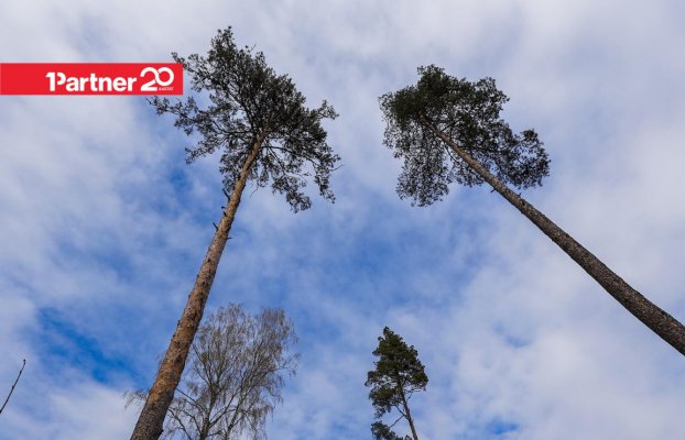 картина 8 of 16