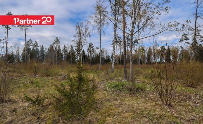 Image of EHITUSÕIGUSEGA, LOODUSKAUNIS KINNISTU!