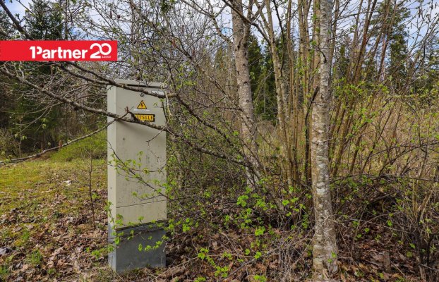 картина 14 of 16