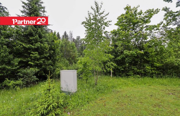 картина 7 of 11