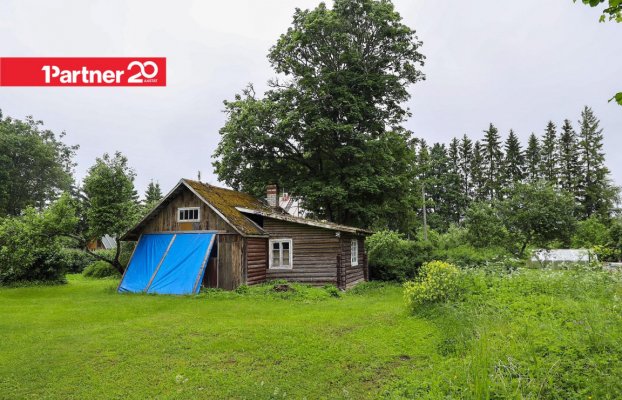 картина 6 of 11