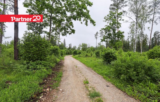 картина 9 of 11