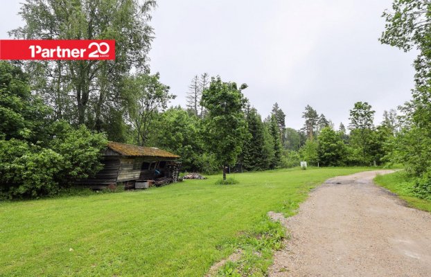 картина 4 of 11