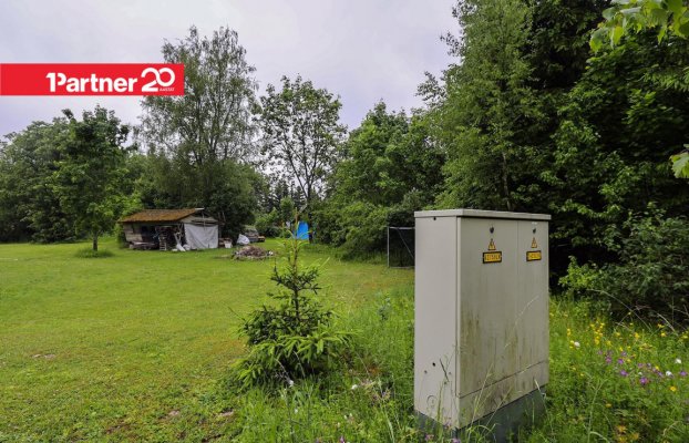 картина 5 of 11