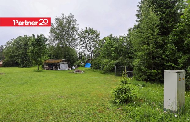 картина 1 of 11