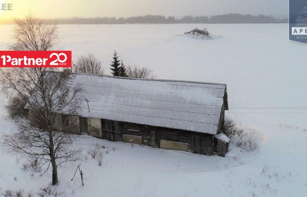 картина 10 of 11