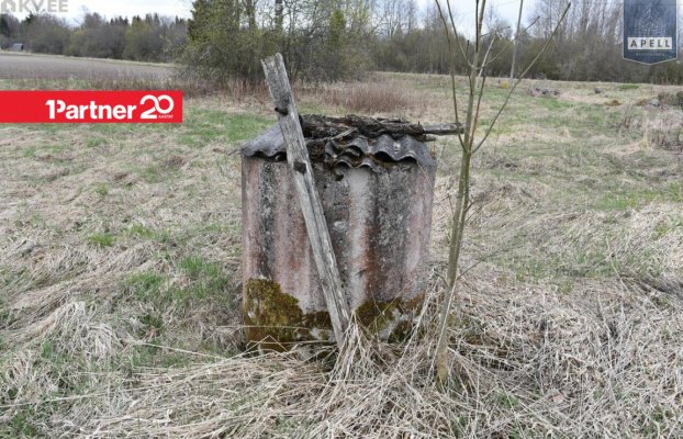 картина 10 of 20