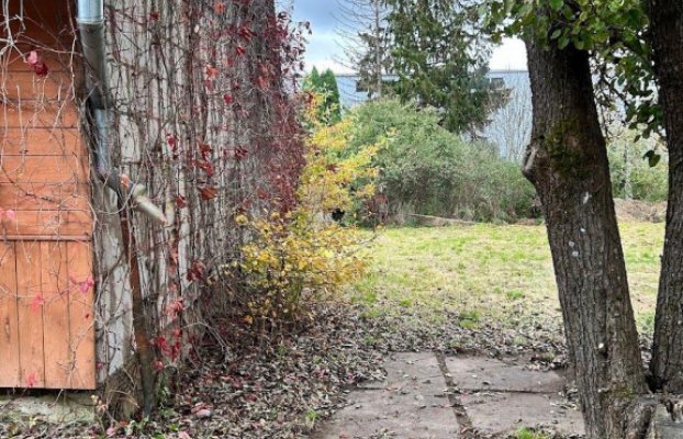Image 36 of 47