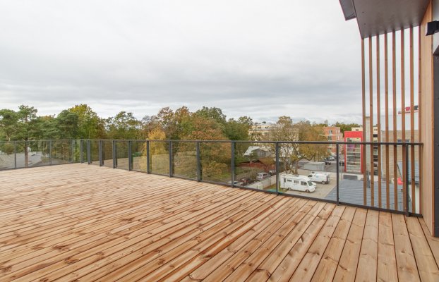 картина 6 of 8