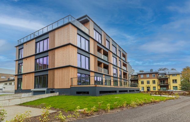 картина 2 of 8