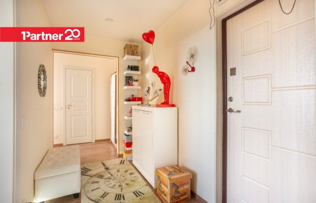 картина 14 of 19