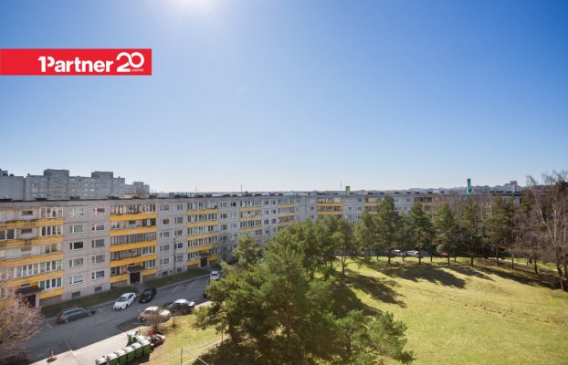 картина 11 of 19