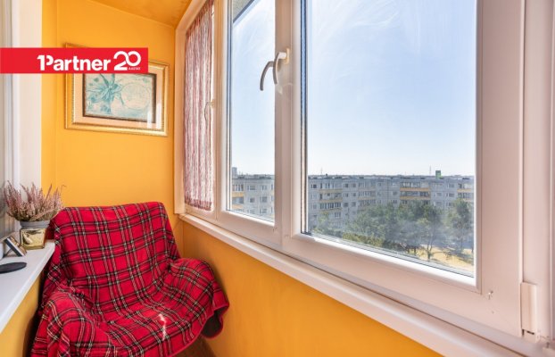 картина 10 of 19