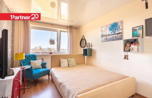 картина 6 of 19