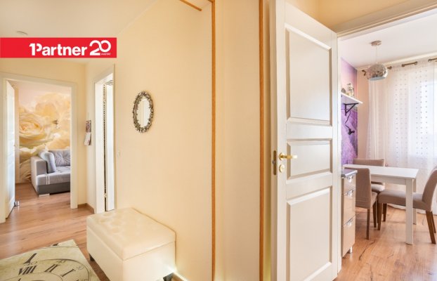 картина 5 of 19