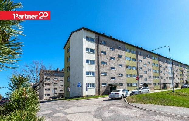 картина 13 of 14