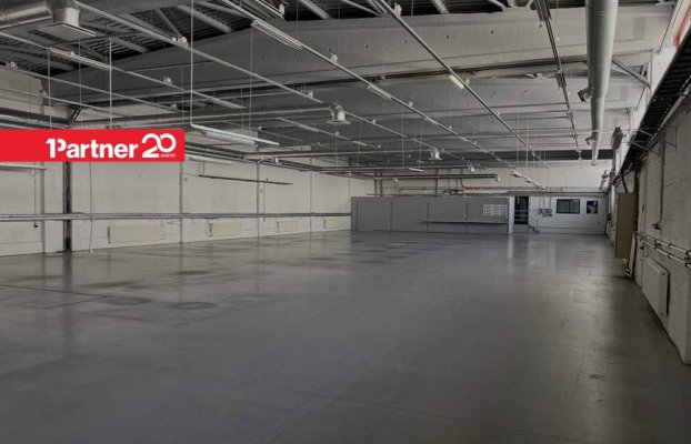 картина 11 of 27