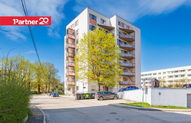 картина 1 of 25