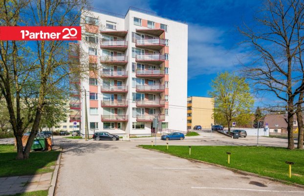 картина 23 of 25