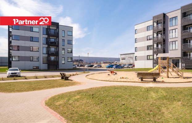 картина 15 of 15