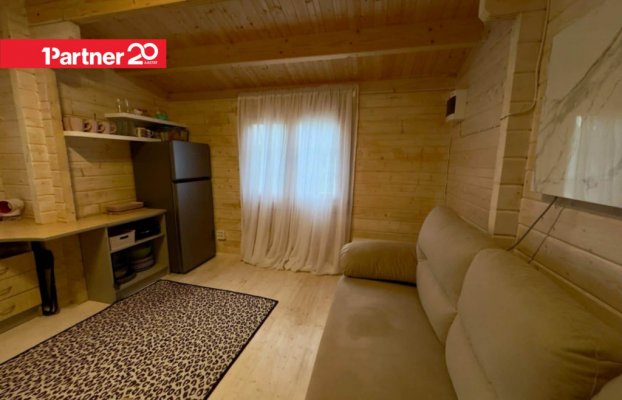 картина 9 of 31
