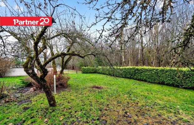 картина 55 of 63