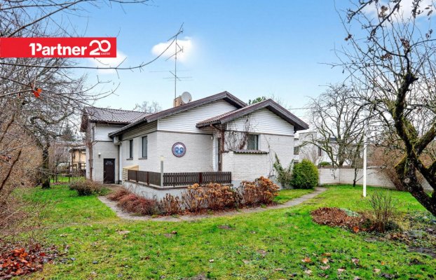 картина 54 of 63