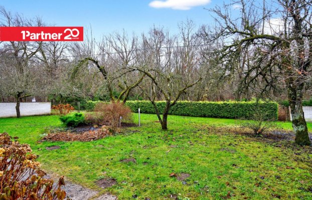 картина 58 of 63