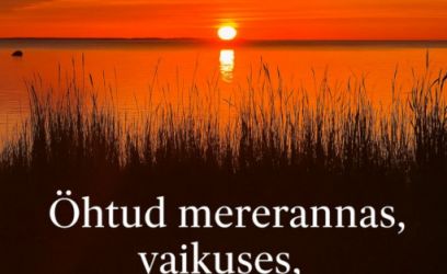 Image of Koht, kus aeg peatub – meri, kadakad ja rahu sinule