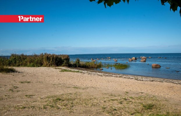 Image 4 of 18