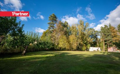 Image of MAALILINE KRUNT KIISAL 3000m2 OJA ÄÄRES METSA SERVAL