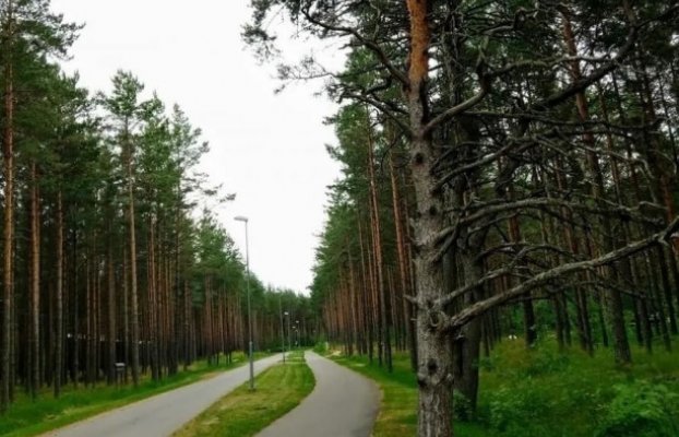 Image 10 of 13