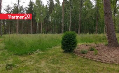 Image of Merelähedane kõrghaljastusega krunt!