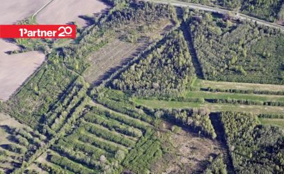 Image of Suur 14 ha kinnistu Vändra külje all!