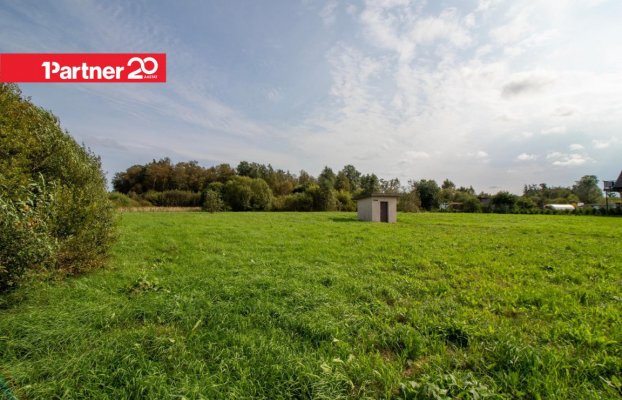 картина 8 of 13