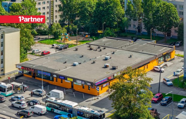 картина 6 of 20