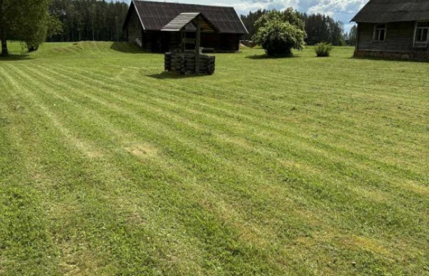 Image 13 of 17