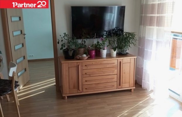 картина 6 of 11