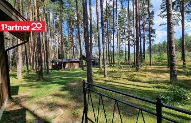 картина 42 of 73