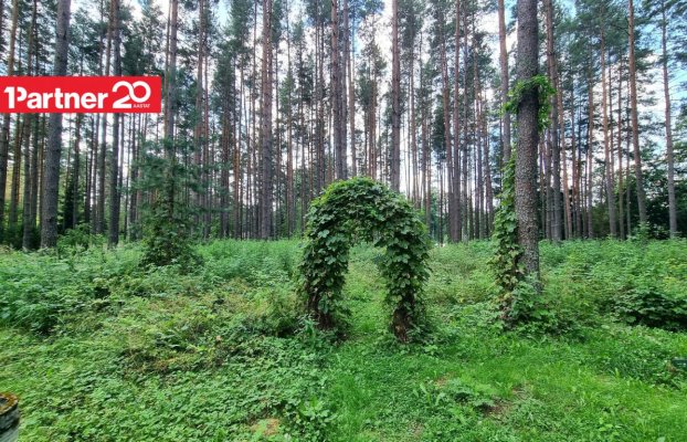 картина 57 of 73