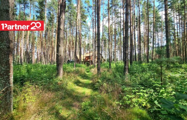 картина 60 of 73