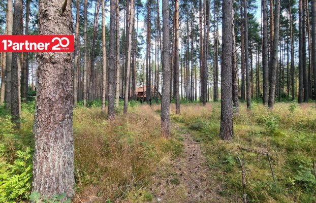 картина 59 of 73