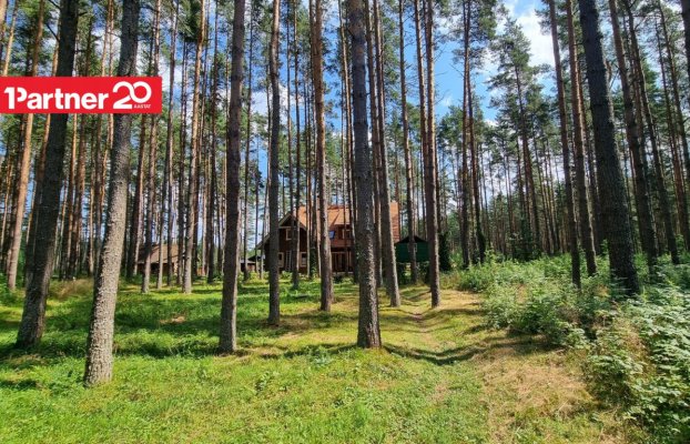 картина 56 of 73
