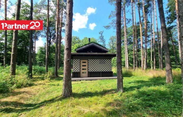 картина 44 of 73