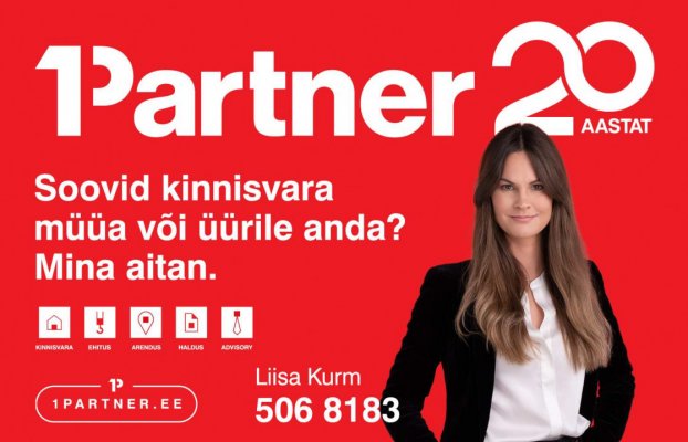 картина 23 of 23