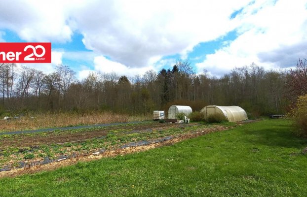 Image 8 of 55