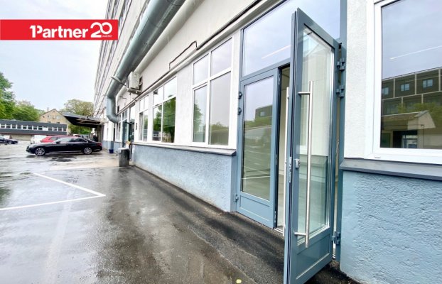 картина 1 of 15