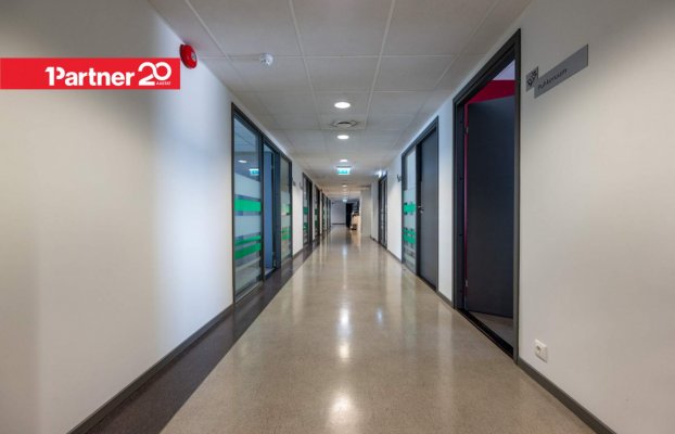 картина 6 of 12