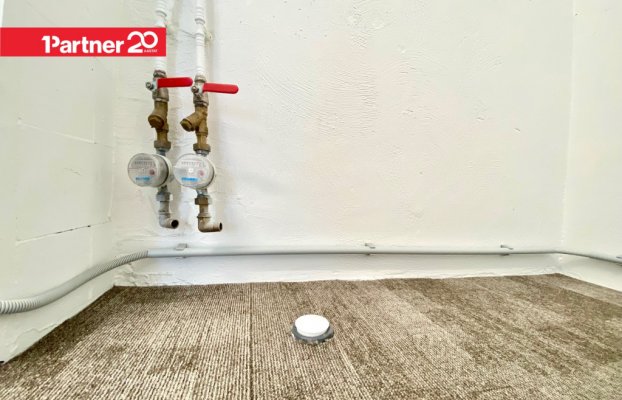 картина 12 of 23